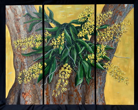 A Still Life - Solo Exhibition  Karen Sedaitis - Tourism Adelaide 1