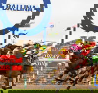 Ballina Boxing Day Races - Tourism Adelaide