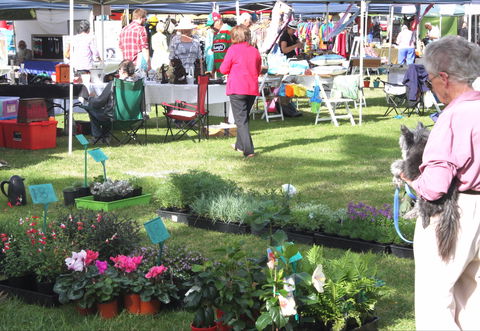Batemans Bay Sunday Market - Tourism Adelaide 2