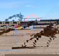 Bedourie Camel and Pig Races and Camp oven Cook-off - Tourism Adelaide