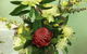 Blackheath Flower And Craft Show - thumb 0