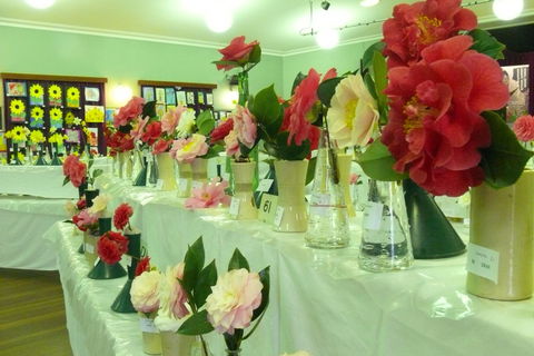 Blackheath Flower And Craft Show - Tourism Adelaide 1