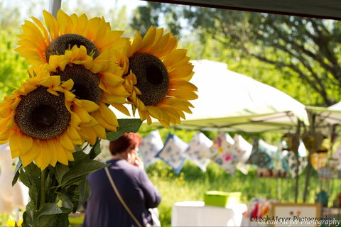 Blackville Arts And Market Day - Tourism Adelaide 0
