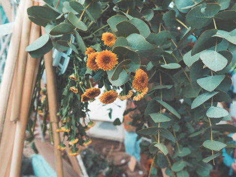 Boho Luxe Market - Adelaide - Tourism Adelaide 1