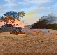 CanAm Loveday 400 Off-Road Race - Tourism Adelaide