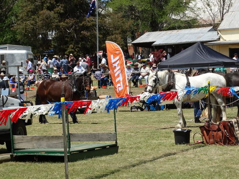 Carcoar Show - Tourism Adelaide 0