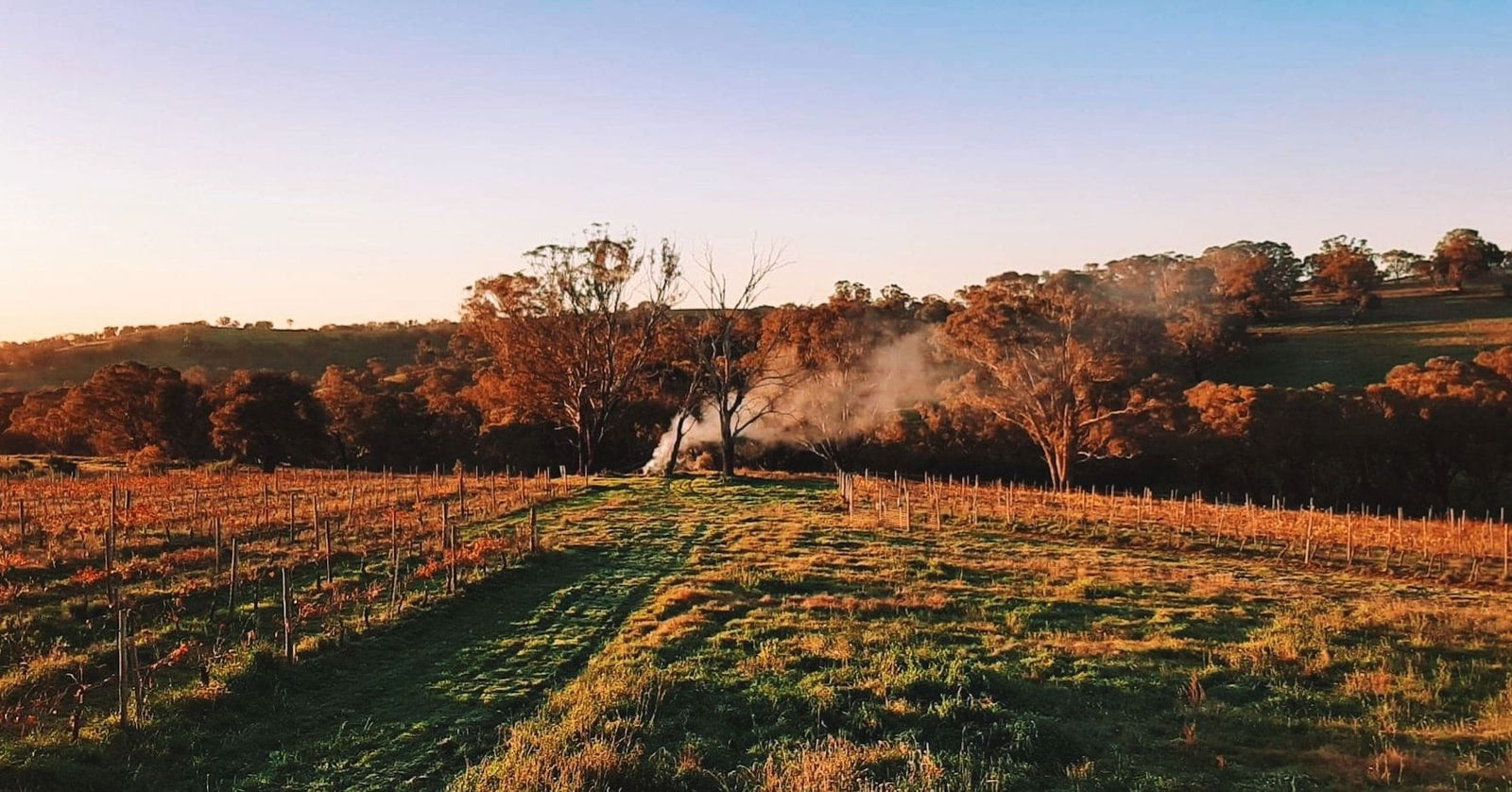Lidster NSW Tourism Adelaide