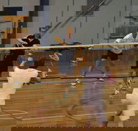 Charlton Badminton Club Ladies Tournament - Tourism Adelaide