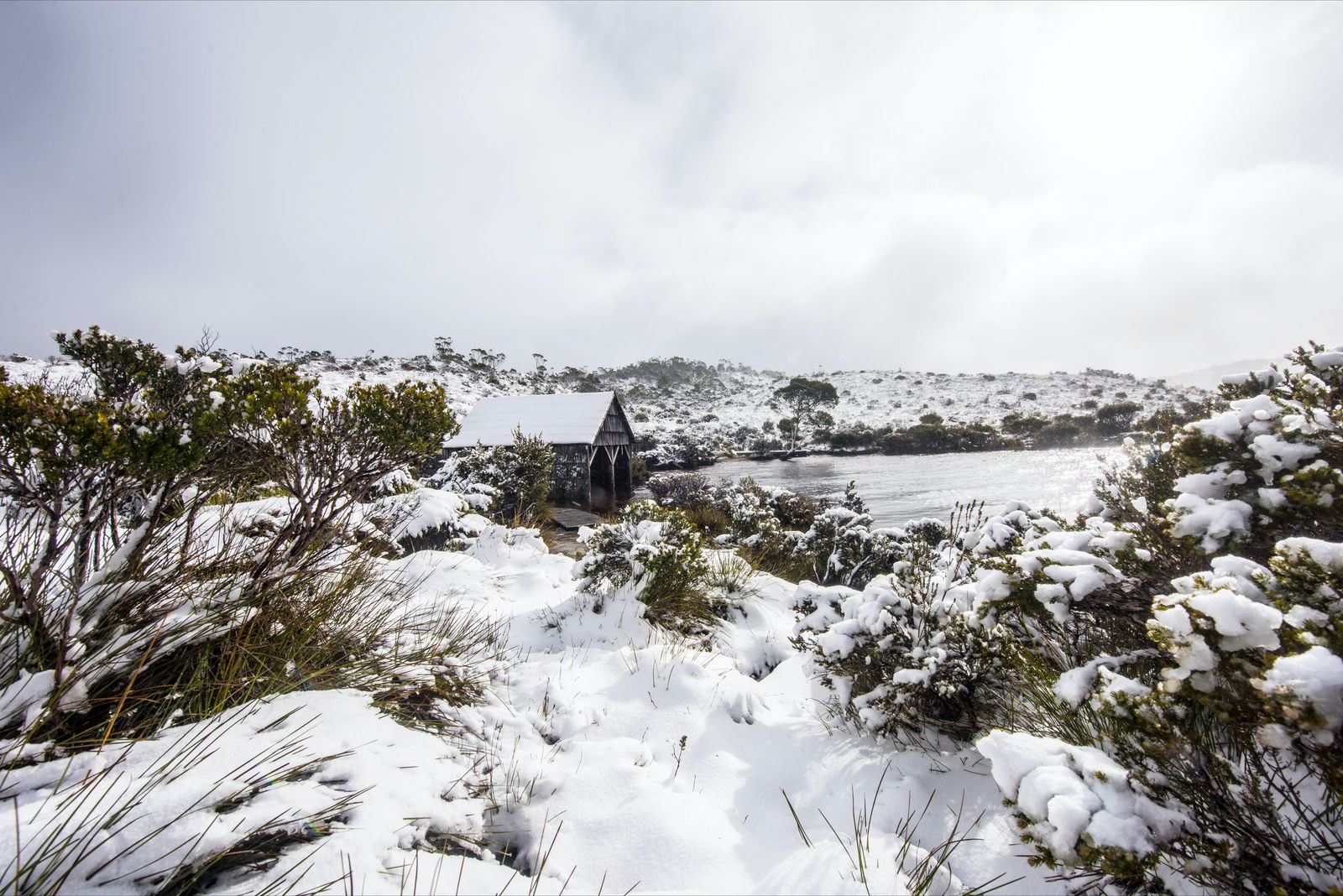 Cradle Mountain TAS Tourism Adelaide