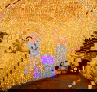 Christmas Lights Spectacular New Year's Eve at Hunter Valley Gardens - Tourism Adelaide
