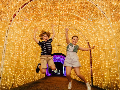 Christmas Lights Spectacular New Year's Eve At Hunter Valley Gardens - Tourism Adelaide 0