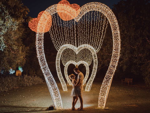 Christmas Lights Spectacular New Year's Eve At Hunter Valley Gardens - Tourism Adelaide 1