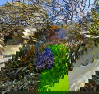 Conservation Volunteers Australia Townsville - Beach Scrub Conservation - Tourism Adelaide