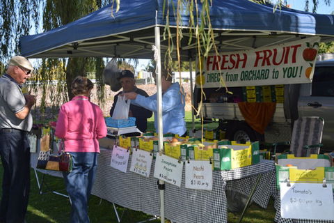 Corowa Rotary Federation Farmers And Variety Market - Tourism Adelaide 1