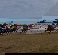 Corowa Horseraces - Tourism Adelaide