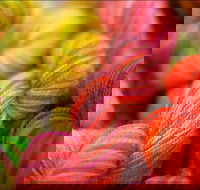 Creative Fibre - Tourism Adelaide