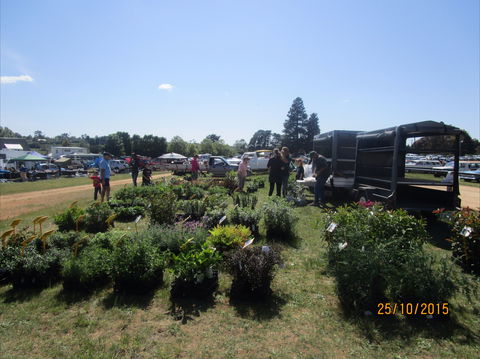Crookwell Rotary Swap Meet And Market Day - Tourism Adelaide 1