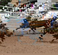 Dalgety Team Penning - Tourism Adelaide