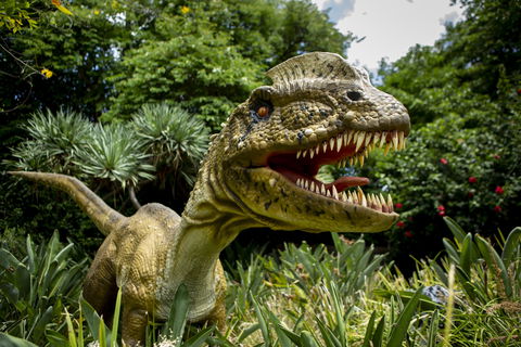 Dino Lab At Melbourne Zoo - Tourism Adelaide 0