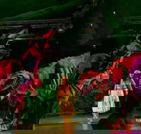 Dinomania - Postponed - Tourism Adelaide