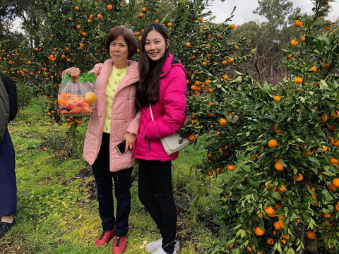 Fruit Taste Adventure Tours - Tourism Adelaide 0