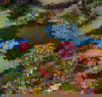 Glenrock Gardens Open Garden - Tourism Adelaide