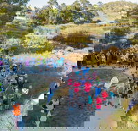 Goulburn Parkrun - Tourism Adelaide