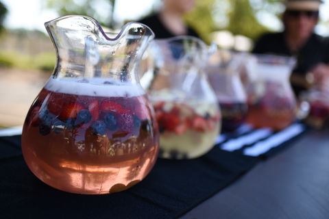 Griffith Spring Fest - LINX Launch Party - Tourism Adelaide 2