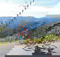 High Country Women's Cycling Festival - Tourism Adelaide