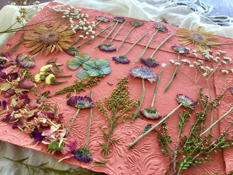 Introduction To Paper Making - Tourism Adelaide 0