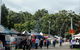 Lardner Park Market - thumb 0