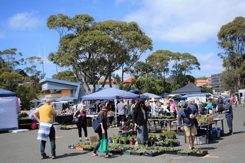 Marine Rescue Ulladulla Wharf Markets - Tourism Adelaide 1