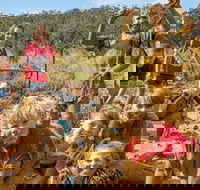 Mini Muddies Obstacle Challenge at Bunnamagoo Estate - Tourism Adelaide