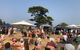 Mt Martha Farmers' Market - thumb 0