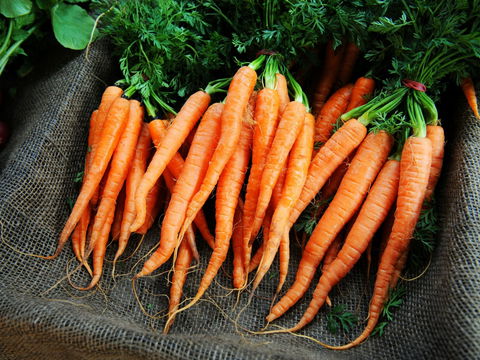 Mudgee Farm Walks - Tourism Adelaide 2