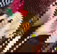 Murrindindi Beanie  Fibre Festival Online - Tourism Adelaide