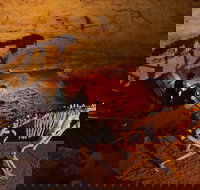 Naracoorte World Heritage Festival and Run - Tourism Adelaide