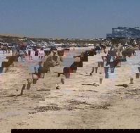 Perlubie Beach Sports Day - Tourism Adelaide