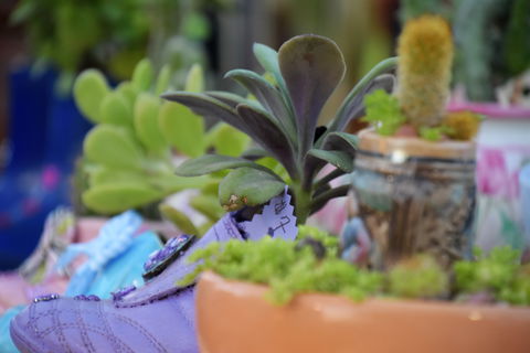 QCWA Sunday Markets - Tourism Adelaide 1