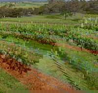 Razorback Ridge Wines Open Weekends - Tourism Adelaide
