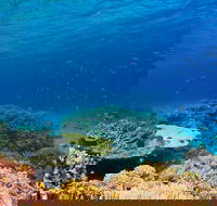 Recovery of the Great Barrier Reef - Tourism Adelaide