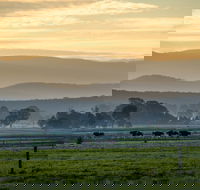 Rotary Club of Maffra Community Market - Tourism Adelaide