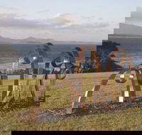 Sculpture Bermagui - Tourism Adelaide