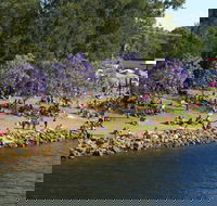 Shoalhaven River Festival - Tourism Adelaide