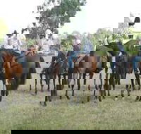 Stroud Show - Tourism Adelaide