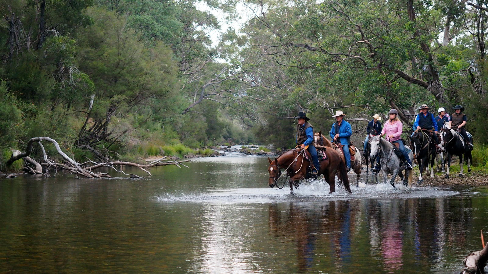 Towong Upper VIC Tourism Adelaide
