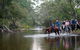 The Man From Snowy River Bush Festival - thumb 0