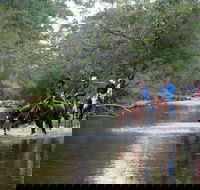 The Man From Snowy River Bush Festival - Tourism Adelaide