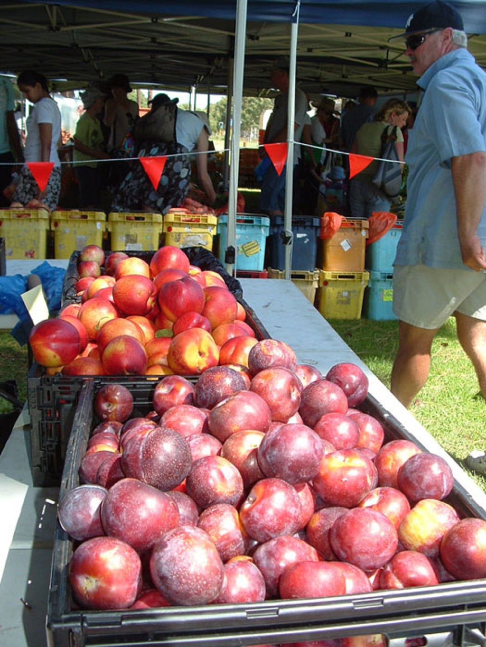 Karawara WA Tourism Adelaide