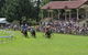 Tumut Boxing Day Races - thumb 0